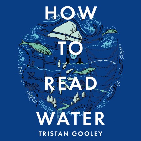 How To Read Water