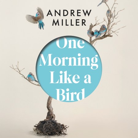 One Morning Like a Bird