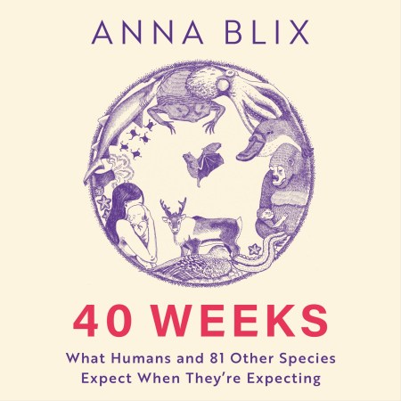 40 Weeks