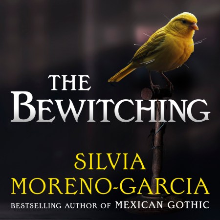The Bewitching