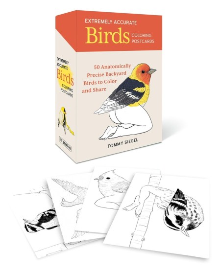 Extremely Accurate Birds Coloring Postcards