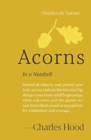 Acorns