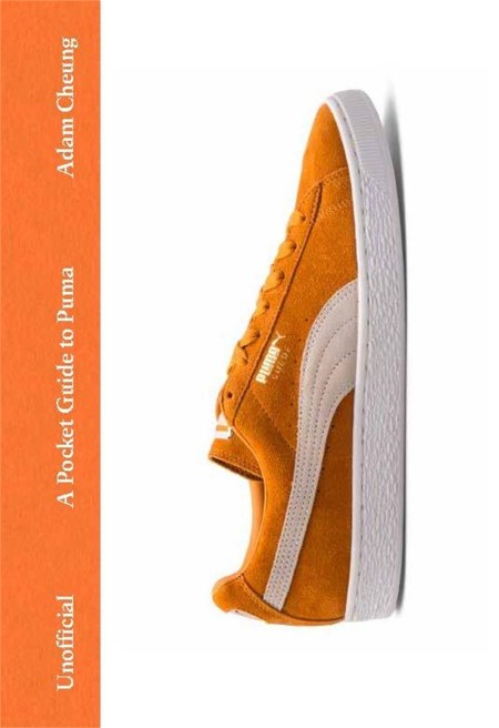A Pocket Guide to Puma