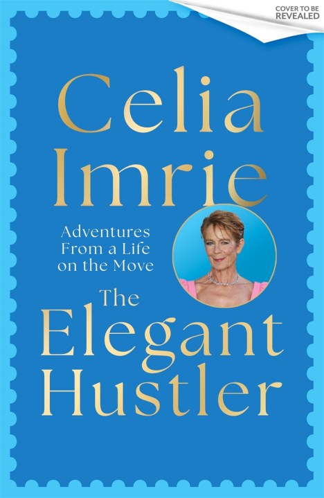 The Elegant Hustler